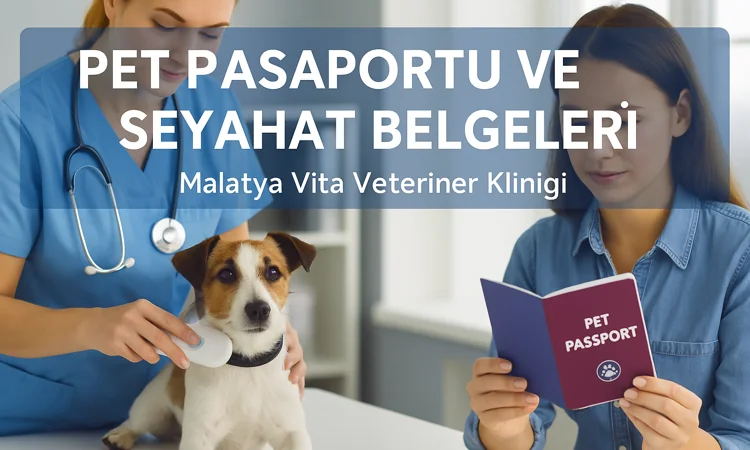 Pet Pasaportu ve Seyahat Belgeleri | Malatya Vita Veteriner Kliniği